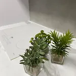 La Casa De Hierba - De Diseno Con Jardin Y Wifi Cerca De Playas De