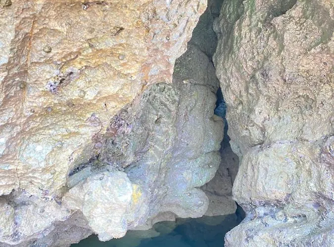 Villa La Casa De Hierba - De Diseno Con Jardin Y Wifi Cerca De Playas De *