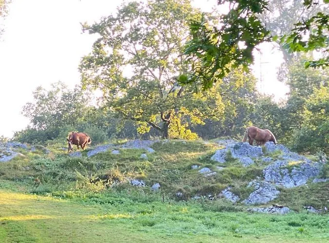 La Casa De Hierba - De Diseno Con Jardin Y Wifi Cerca De Playas De * Llanes
