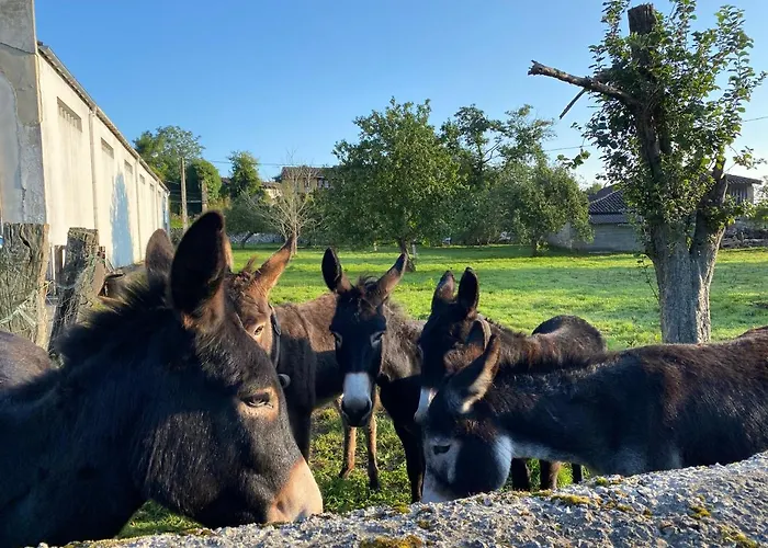 La Casa De Hierba - De Diseno Con Jardin Y Wifi Cerca De Playas De Villa