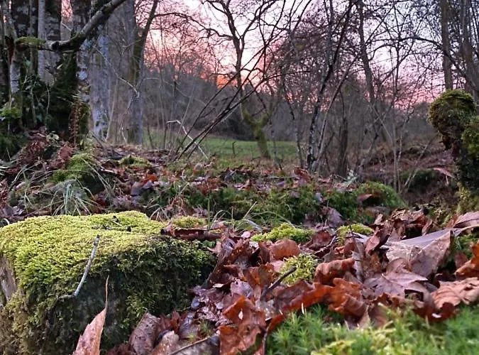 La Casa De Hierba - De Diseno Con Jardin Y Wifi Cerca De Playas De Villa