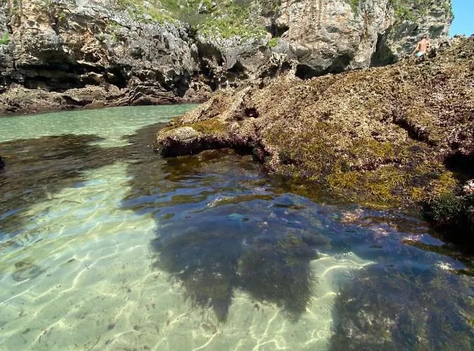 Villa La Casa De Hierba - De Diseno Con Jardin Y Wifi Cerca De Playas De *