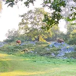 La Casa De Hierba - De Diseño Con Jardín Y Wifi Cerca De Playas De * Llanes