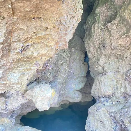 Villa La Casa De Hierba - De Diseño Con Jardín Y Wifi Cerca De Playas De *