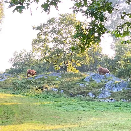 La Casa De Hierba - De Diseño Con Jardín Y Wifi Cerca De Playas De * Llanes