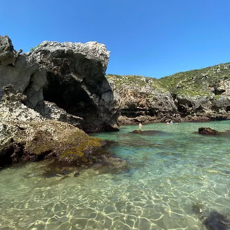 La Casa De Hierba - De Diseño Con Jardín Y Wifi Cerca De Playas De * Llanes