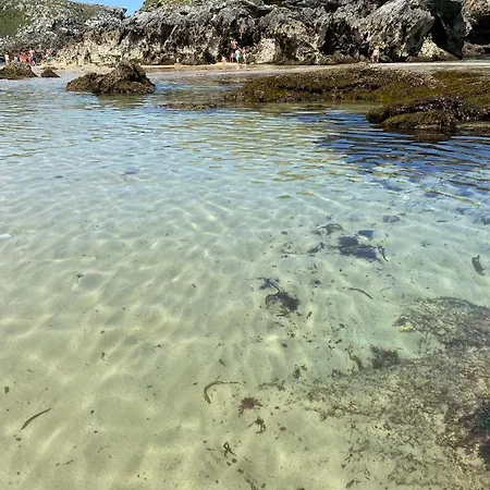 La Casa De Hierba - Bioclimatica Con Jardin Y Wifi Cerca De Playas De Βίλα Llanes