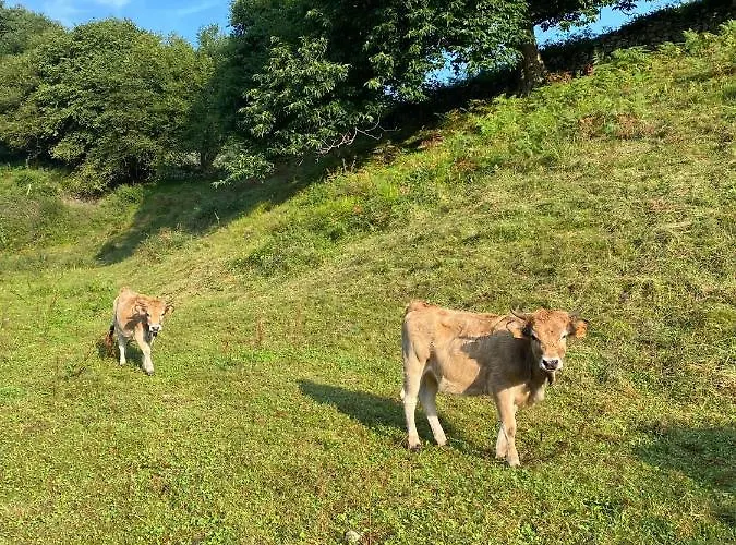Villa La Casa De Hierba - De Diseño Con Jardín Y Wifi Cerca De Playas De
