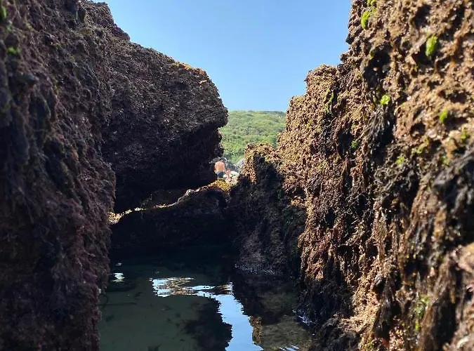 La Casa De Hierba - De Diseño Con Jardín Y Wifi Cerca De Playas De *