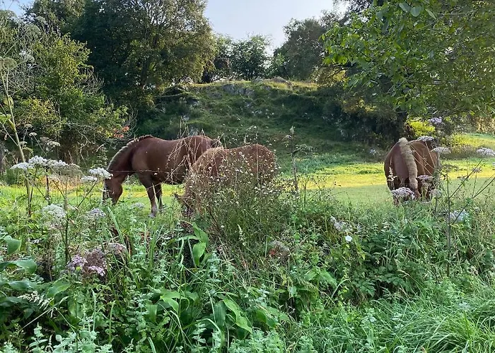 La Casa De Hierba - De Diseño Con Jardín Y Wifi Cerca De Playas De * Llanes