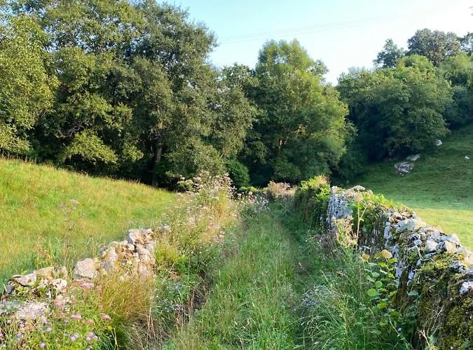 La Casa De Hierba - De Diseño Con Jardín Y Wifi Cerca De Playas De Villa Llanes