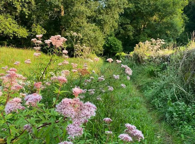 La Casa De Hierba - De Diseño Con Jardín Y Wifi Cerca De Playas De Villa Llanes