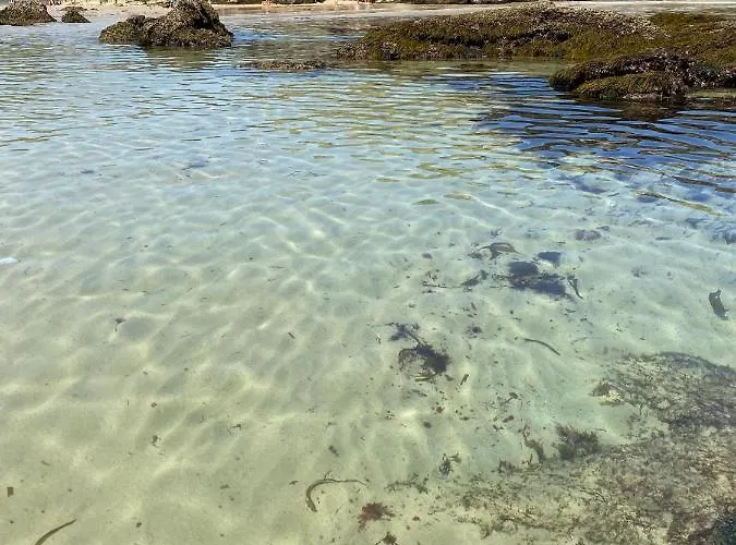 La Casa De Hierba - De Diseño Con Jardín Y Wifi Cerca De Playas De Villa Llanes