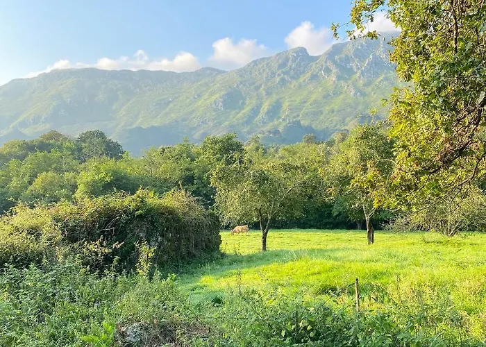 La Casa De Hierba - De Diseño Con Jardín Y Wifi Cerca De Playas De