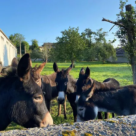 La Casa De Hierba - De Diseno Con Jardin Y Wifi Cerca De Playas De فيلة