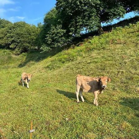فيلة La Casa De Hierba - De Diseno Con Jardin Y Wifi Cerca De Playas De