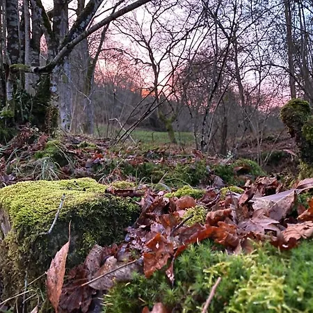 La Casa De Hierba - De Diseno Con Jardin Y Wifi Cerca De Playas De فيلة