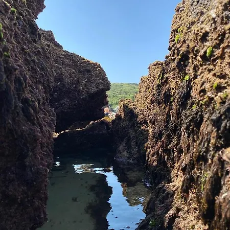La Casa De Hierba - De Diseno Con Jardin Y Wifi Cerca De Playas De *