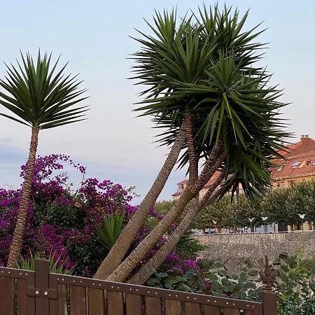 La Casa De Hierba - De Diseno Con Jardin Y Wifi Cerca De Playas De فيلة