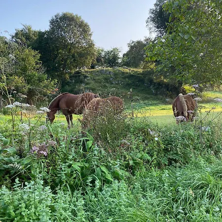 La Casa De Hierba - De Diseno Con Jardin Y Wifi Cerca De Playas De * يانس
