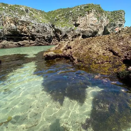 فيلة La Casa De Hierba - De Diseno Con Jardin Y Wifi Cerca De Playas De *