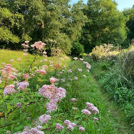 La Casa De Hierba - De Diseno Con Jardin Y Wifi Cerca De Playas De فيلة يانس